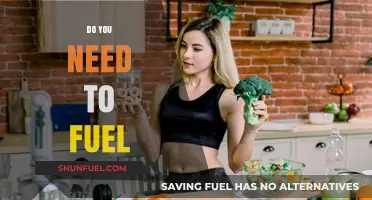 Fueling Your Body: Essential Tips for Optimal Energy and Performance