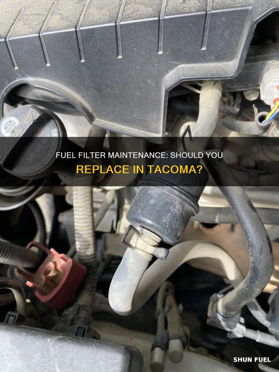 do you need to replace fuel filter in tacom