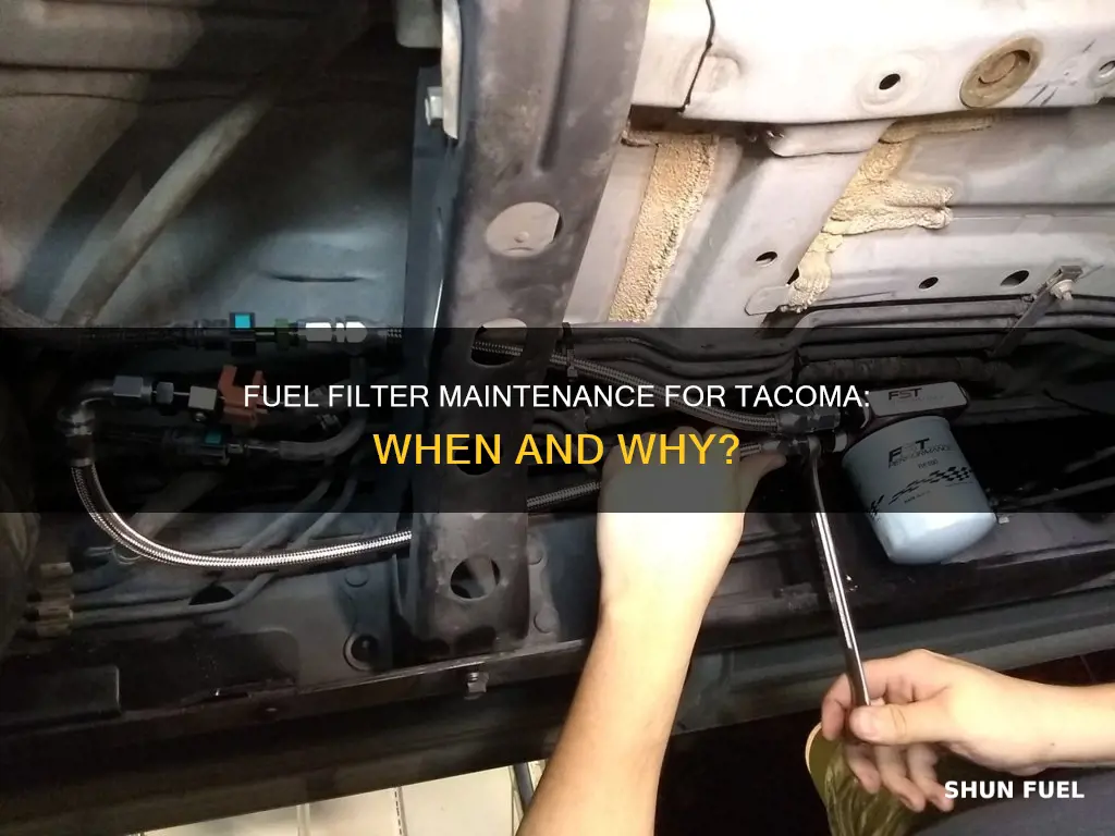 do you need to replace fuel filter in tacoma