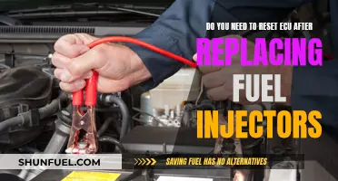 Fuel Injector Replacement: Resetting the ECU, Necessary or Not?