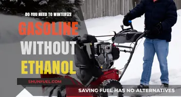 Ethanol-Free Gasoline: Essential Winterization Tips for Your Vehicle