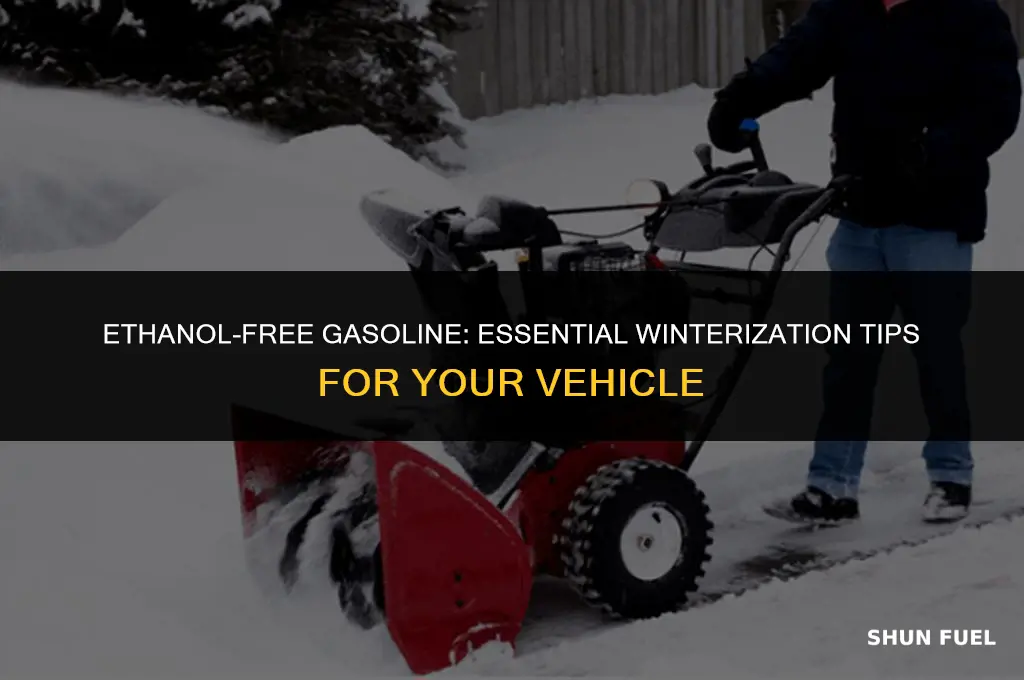 do you need to winterize gasoline without ethanol