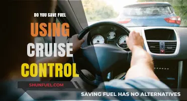 Does Cruise Control Really Help You Save Fuel? Find Out