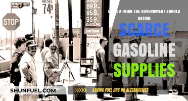 Should the Government Ration Gasoline? A Critical Examination