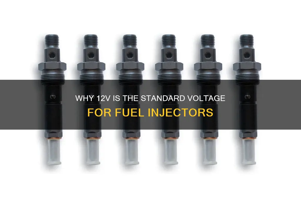 do you use 12v for fuel injectors