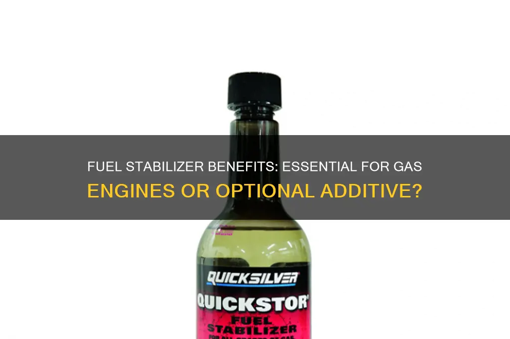 do you use fuel stabilizer in gas engines