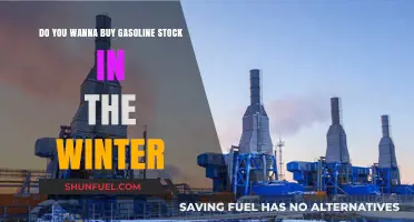 Winter's Fuel Frenzy: Should You Invest in Gasoline Stocks Now?