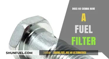 How to Maintain Your 02 Cienna: Fuel Filter Facts