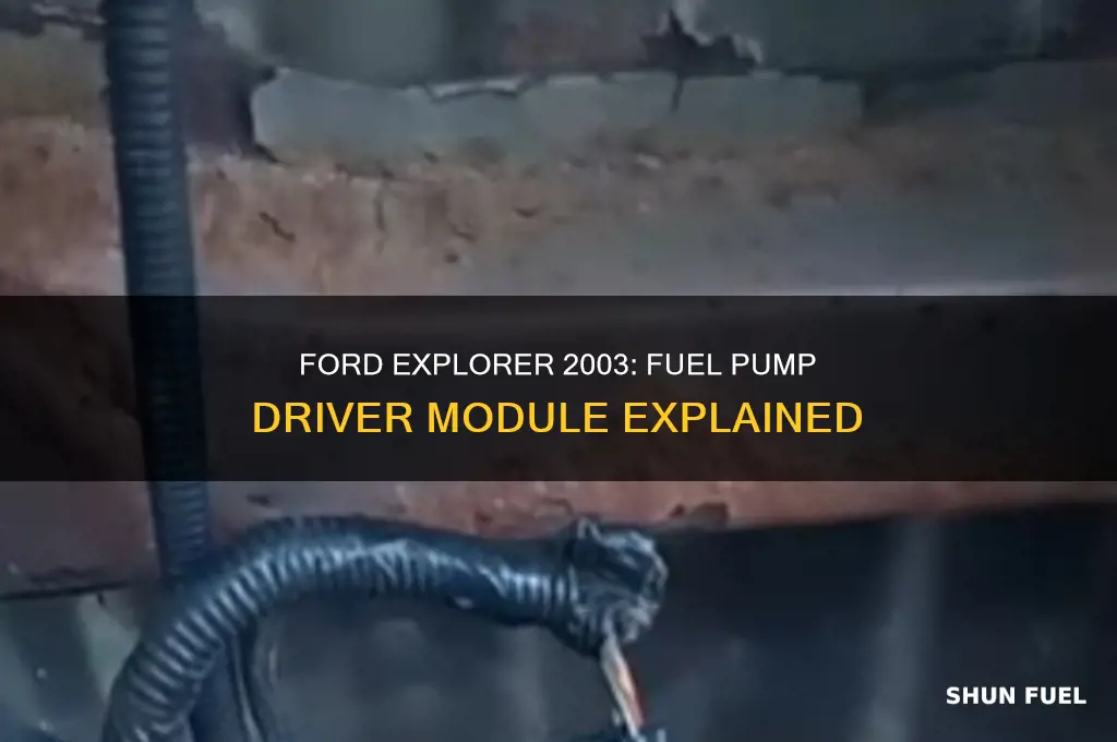 does 03 ford explorer have a fuel pump driver module