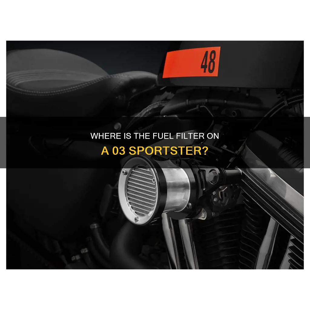 does 03 sportster have a fuel filter