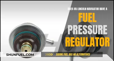 Fuel Pressure Regulator: 2005 Lincoln Navigator's Inclusion