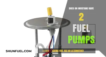 Mustang Fuel System: Does the 2006 Model Have Dual Fuel Pumps?