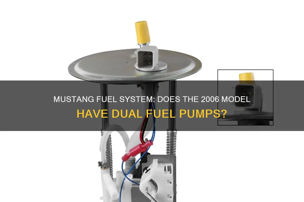 does 06 mustang have 2 fuel pumps