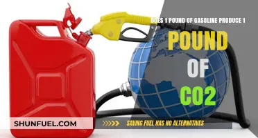 Exploring the Carbon Footprint: Gasoline's Impact on CO2 Emissions