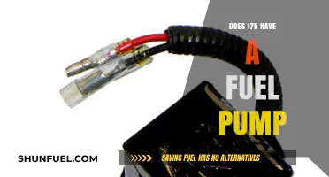 Does the 175 Model Include a Fuel Pump? Find Out Here