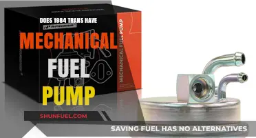 1984 Trans Am: Mechanical Fuel Pump or Electric?