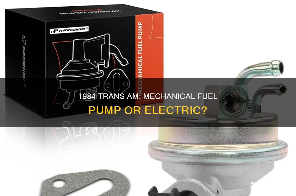 does 1984 trans have mechanical fuel pump