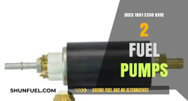 Understanding the 1991 E350's Fuel System: Dual Pumps Explained