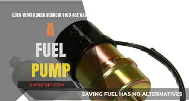 Honda Shadow 1100 ACE 1996: Fuel Pump Presence Explained