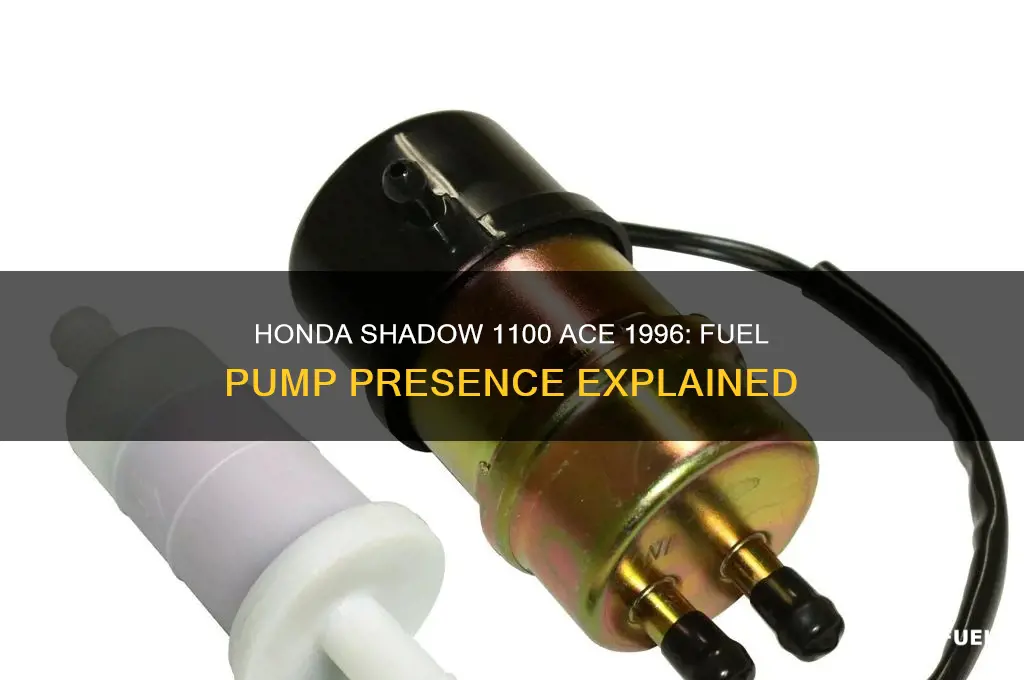 does 1996 honda shadow 1100 ace have a fuel pump