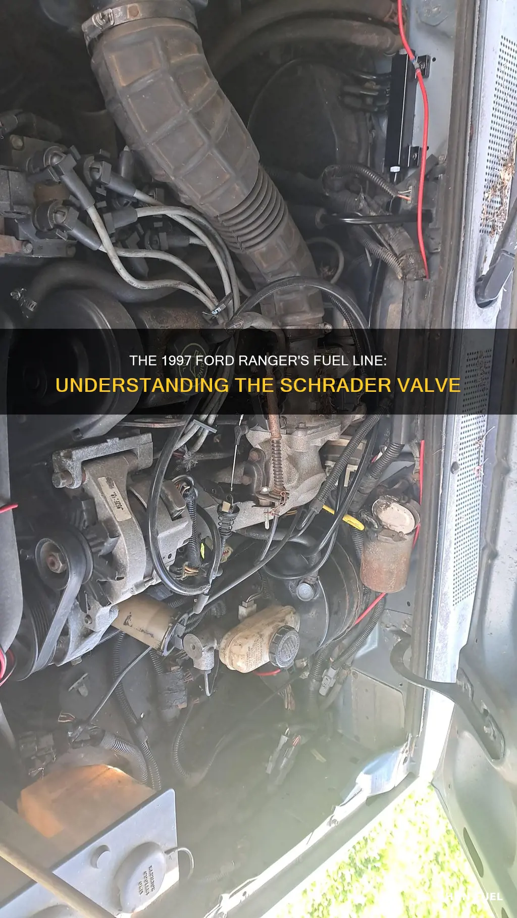 does 1997 ford ranger have a fuel line shrader valve