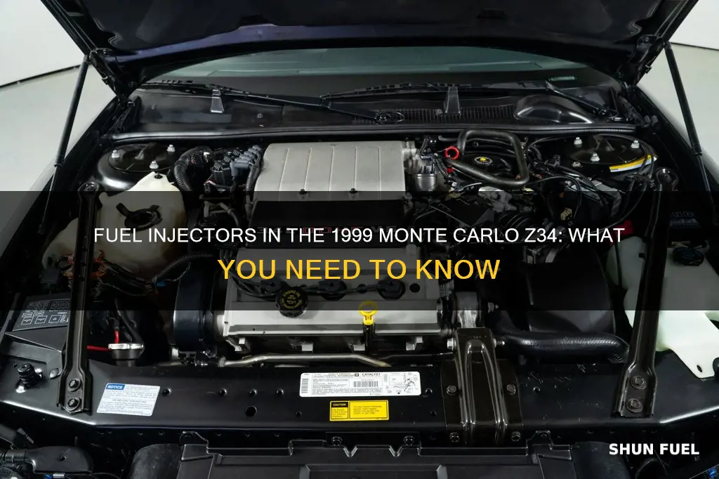 does 1999 monte carlo z34 have fuel injector