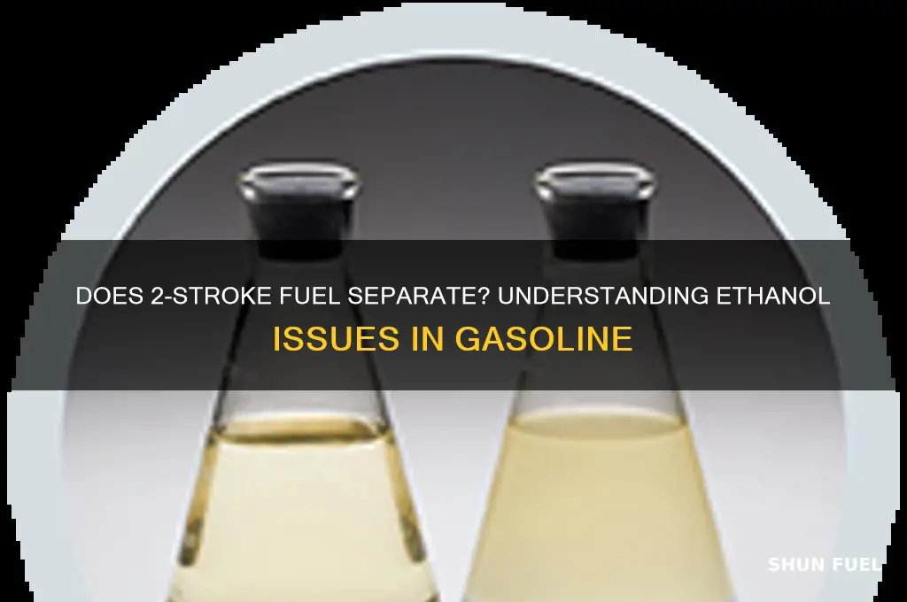 does 2 stroke fuel separate