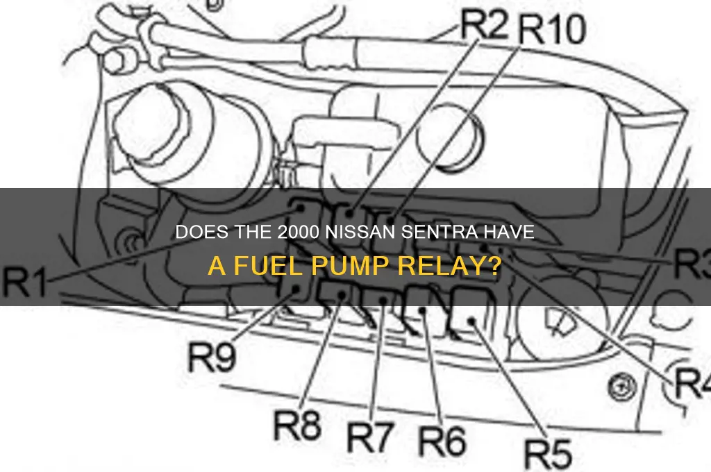 does 2000 nissan sentra have a fuel pump relay