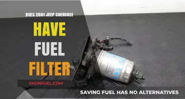 Fuel Filter on Jeep Cherokees: 2001 Edition