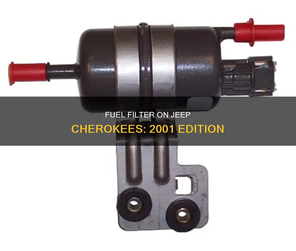 does 2001 jeep cherokee have fuel filter