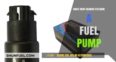 2001 Sea-Doo GTI Fuel Pump: Does It Have One?