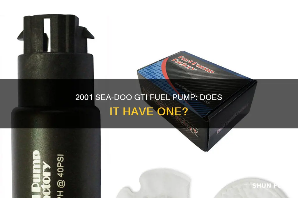 does 2001 seadoo gti have a fuel pump