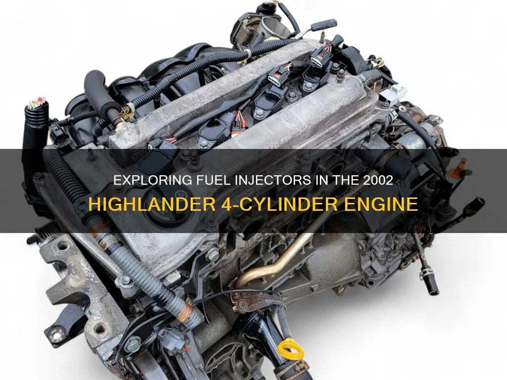 does 2002 4 cylinder highlander have fuel injectors