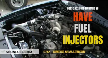 Ford Mustang V6: Fuel Injectors in 2002 Models?