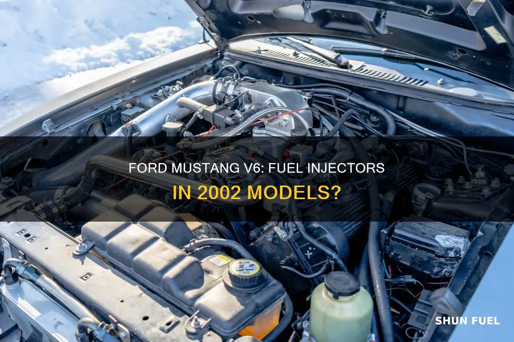 does 2002 ford mustang v6 have fuel injectors