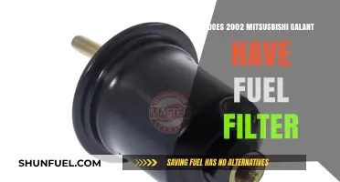 Fuel Filter Presence in the 2002 Mitsubishi Galant