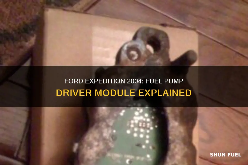 does 2004 ford expedition have a fuel pump driver module