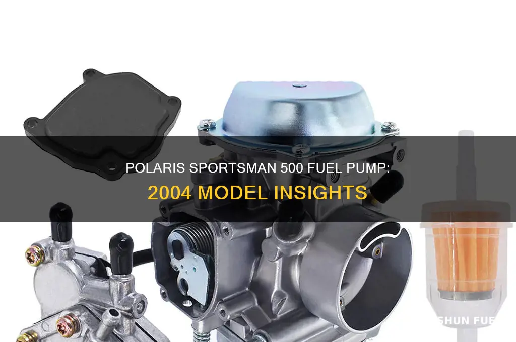 does 2004 polaris sportsman 500 have a fuel pump