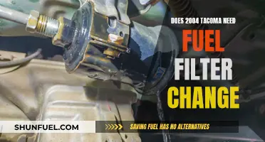 Fuel Filter Change: Essential for 2004 Tacoma Performance?