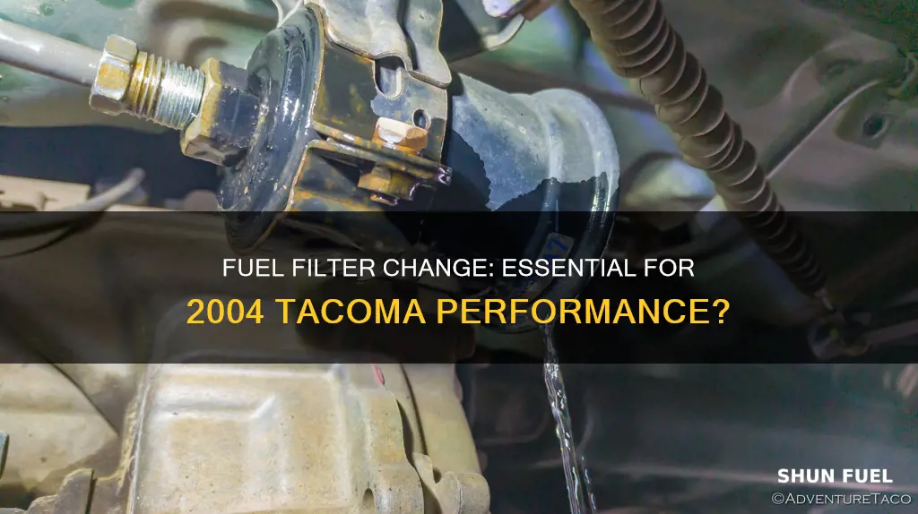 does 2004 tacoma need fuel filter change