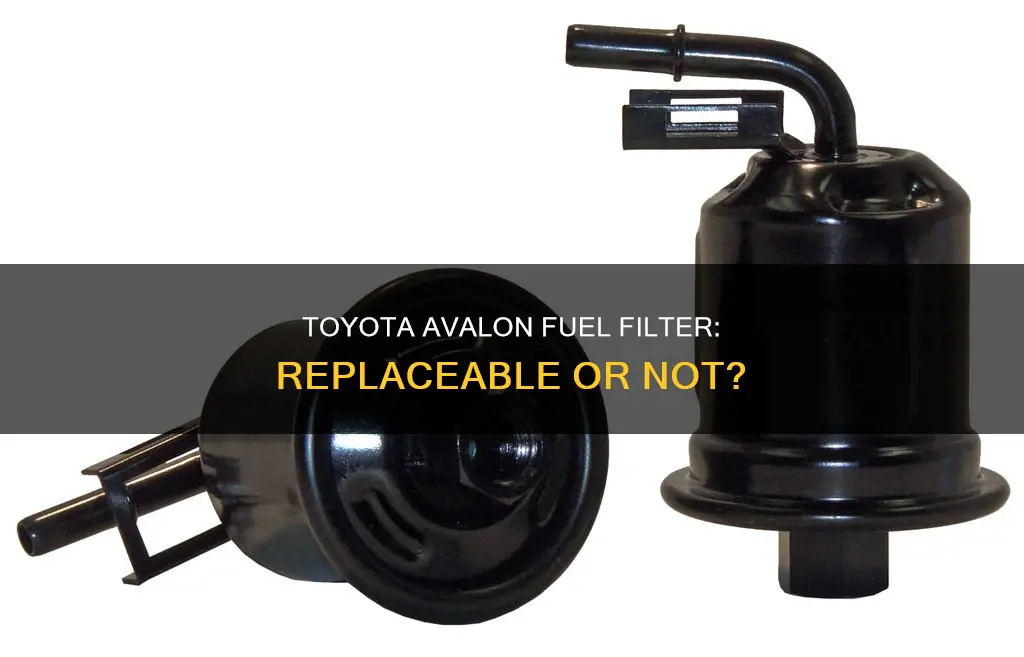 does 2004 toyota avalon have a replaceable fuel filter