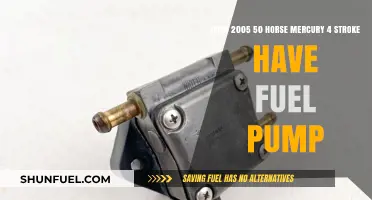 Mercury 4-Stroke 50 HP 2005: Fuel Pump Presence Explained