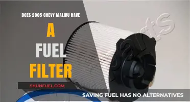 Chevy Malibu Fuel Filter: 2005 Model's Fuel System