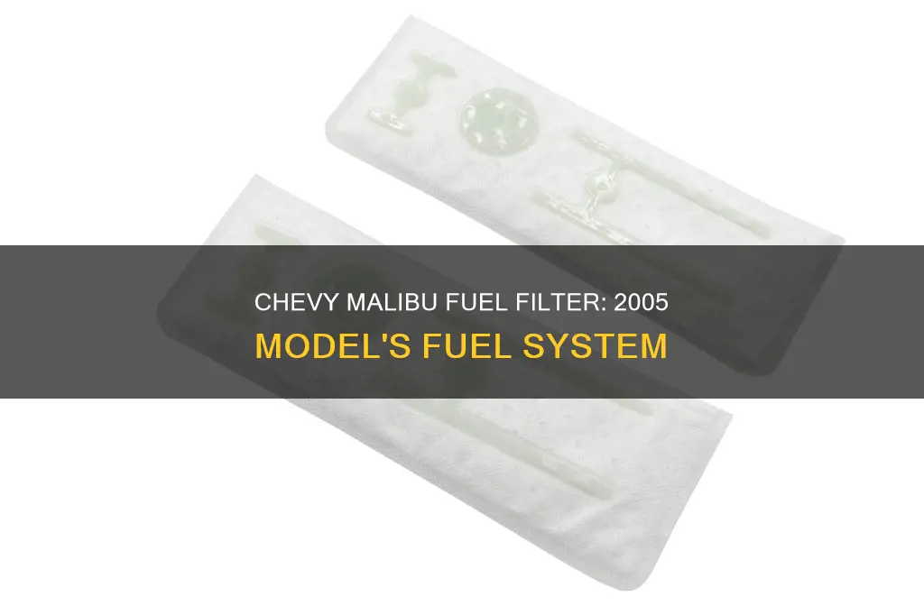 does 2005 chevy malibu have a fuel filter