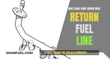 Ford Taurus Fuel Line: Return Line Existence in 2005 Models