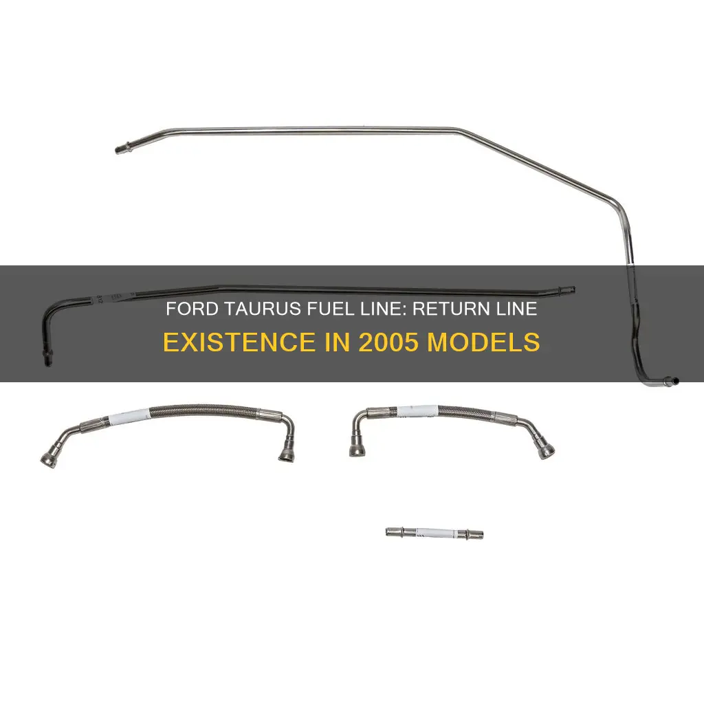 does 2005 ford taurus have return fuel line