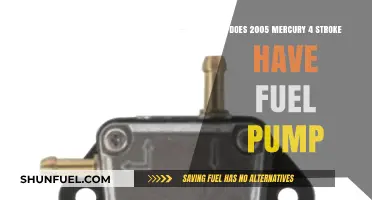 Mercury 4-Stroke 2005: Fuel Pump Presence Explained