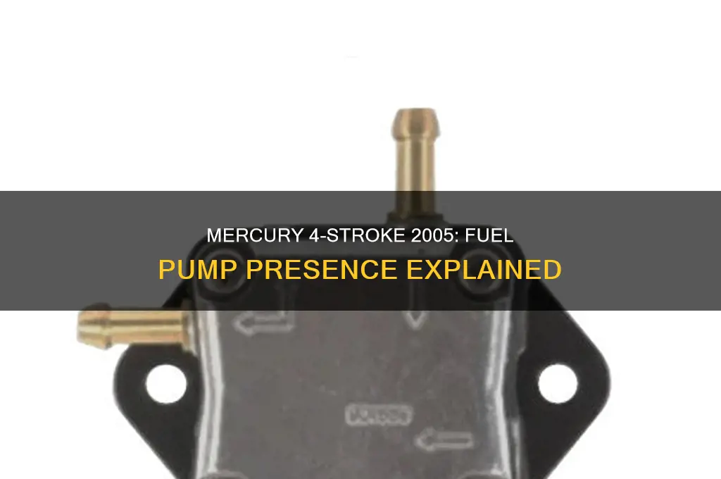 does 2005 mercury 4 stroke have fuel pump
