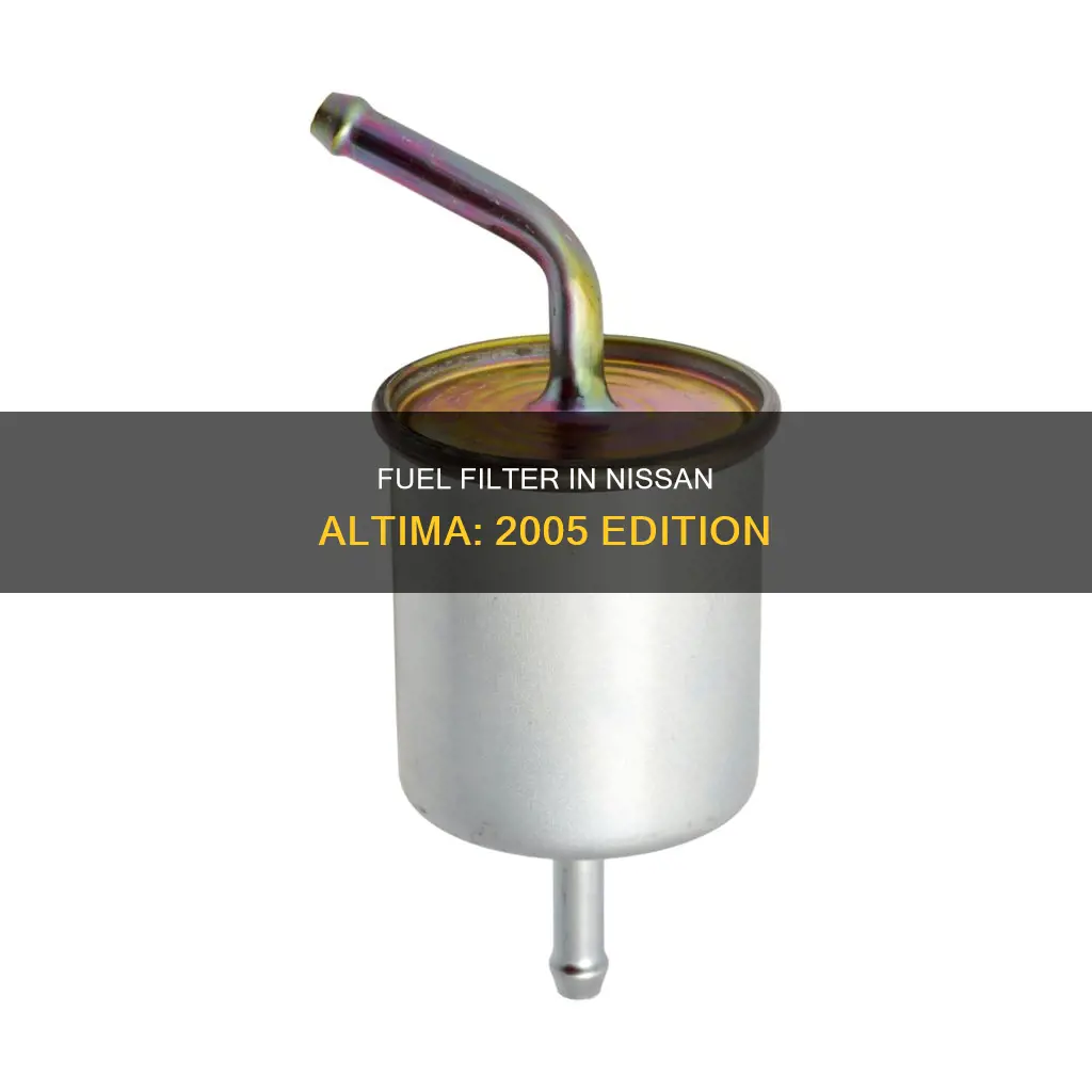 does 2005 nissan altima have a fuel filter