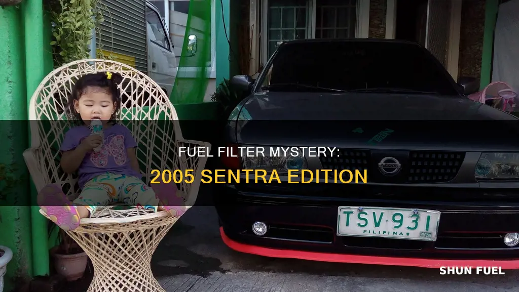 does 2005 sentra have a fuel filter